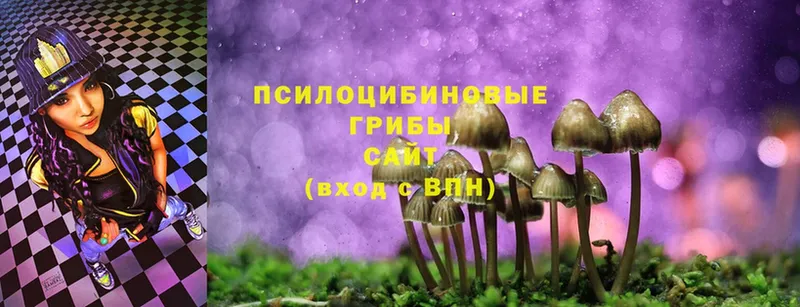 Псилоцибиновые грибы MAGIC MUSHROOMS  Жуковка 